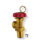 Certificate Directive 2014/68/UE (PED) Mod.H1 Safety Devices